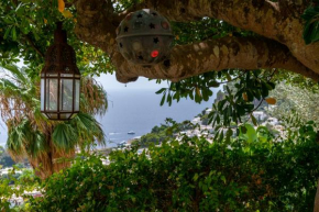 Beautiful Villa with View in the heart of Capri Capri